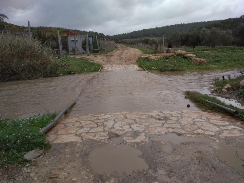 קובץ:2019.01.07-130946.087.android.jpg