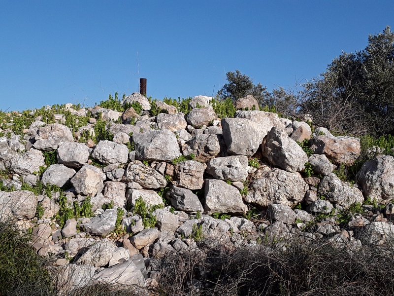 קובץ:2019.01.11-163140.739.android.jpg