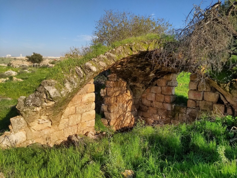 קובץ:2019.01.12-155441.938.android.jpg