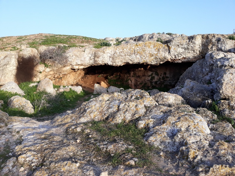 קובץ:2019.01.30-172530.879.android.jpg