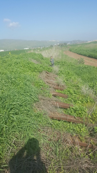 קובץ:2019.02.02-115722.830.android.jpg