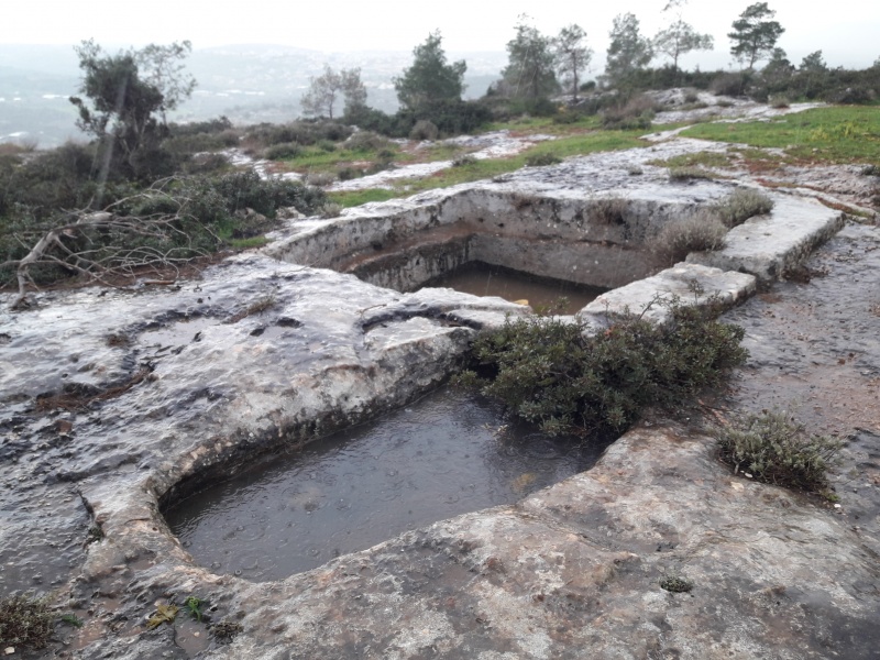 קובץ:2019.02.09-160208.546.android.jpg