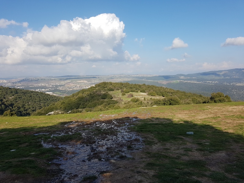 קובץ:2019.02.19-156031.906.android.jpg