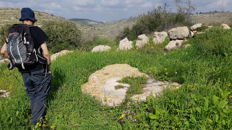 קובץ:2019.02.20-110730.277.android.jpg