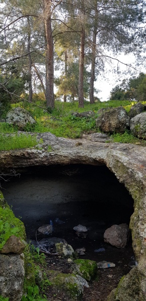 קובץ:2019.02.22-091912.691.android.jpg