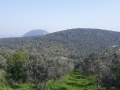 תמונה ממוזערת לגרסה מתאריך 13:10, 1 באפריל 2019