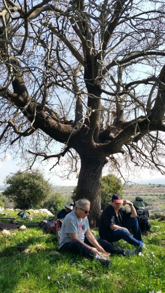 קובץ:2019.03.19-144812.087.android.jpg