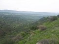 תמונה ממוזערת לגרסה מתאריך 14:17, 17 באפריל 2019