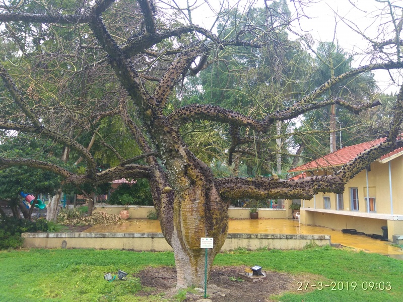 קובץ:2019.03.27-100424.240.android.jpg