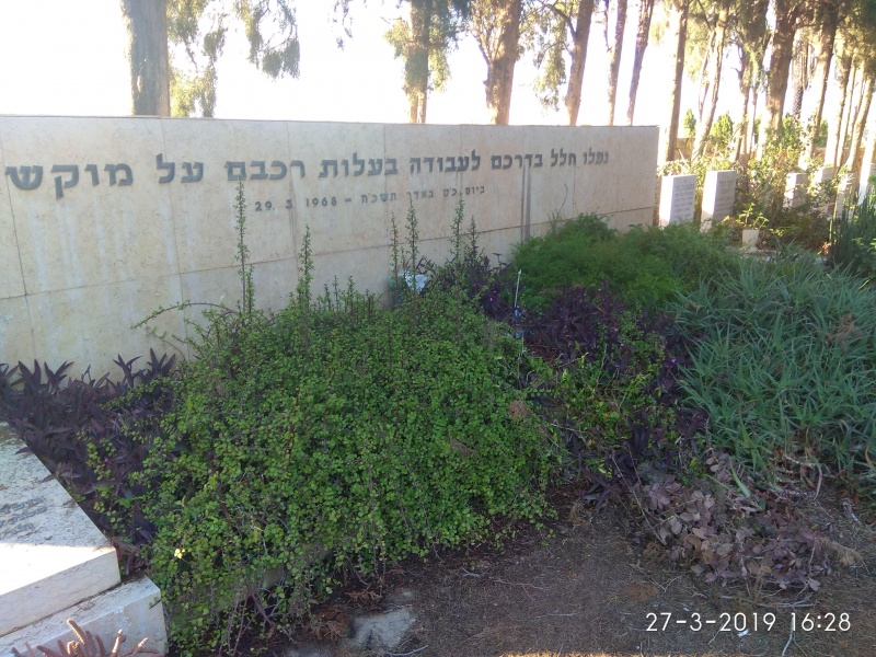 קובץ:2019.03.27-172949.837.android.jpg