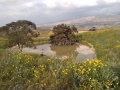 תמונה ממוזערת לגרסה מתאריך 08:20, 21 במאי 2019