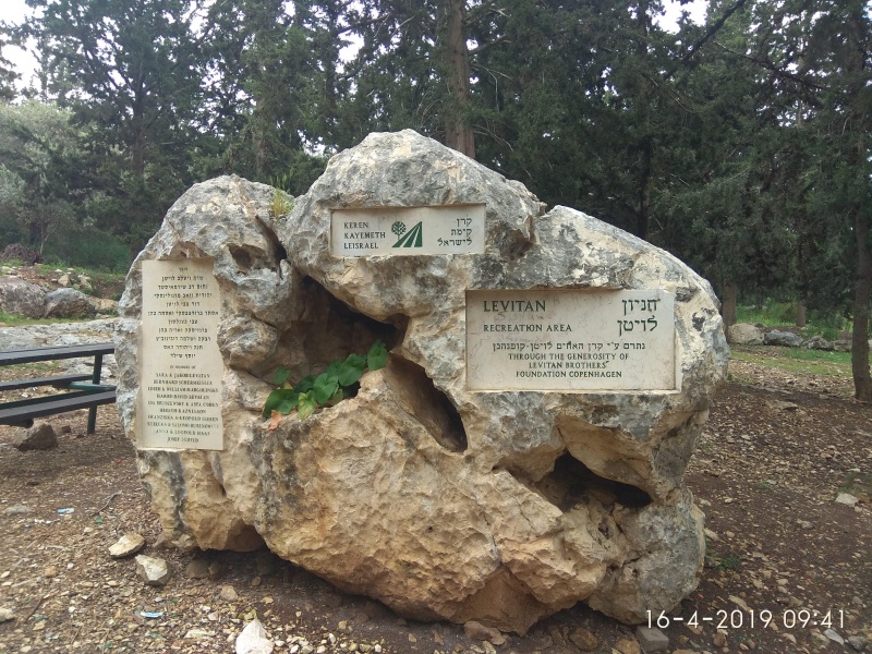 קובץ:2019.04.16-104224.419.android.jpg