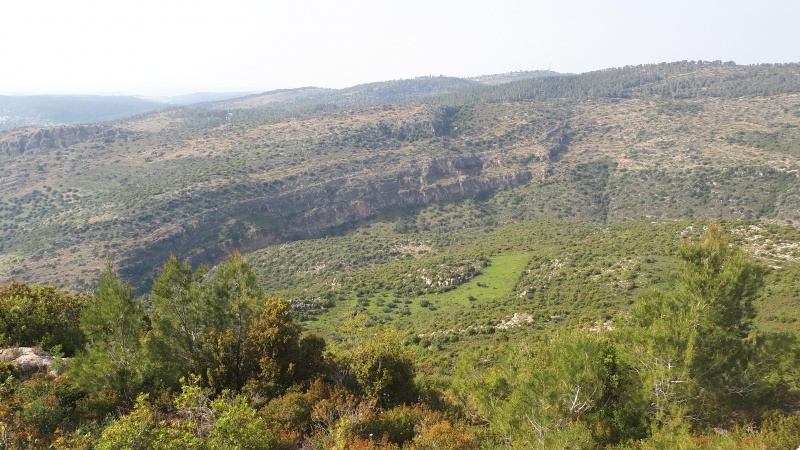 קובץ:2019.04.23-172754.958.android.jpg