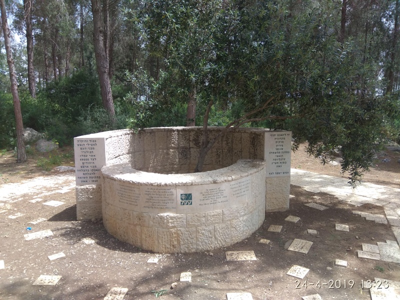 קובץ:2019.04.24-142427.693.android.jpg