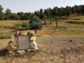 תמונה ממוזערת לגרסה מתאריך 13:45, 24 באפריל 2019