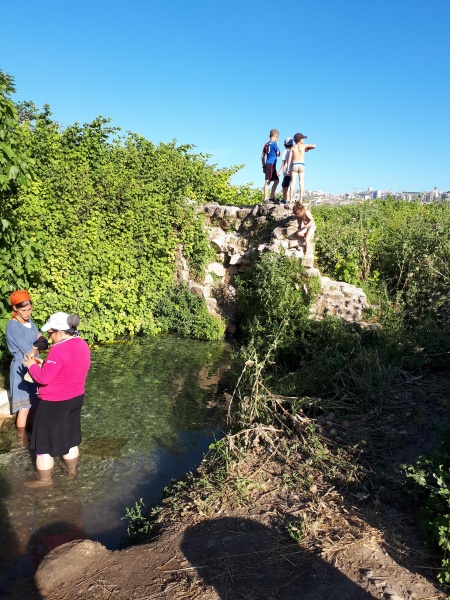 קובץ:2019.05.10-182653.214.android.jpg