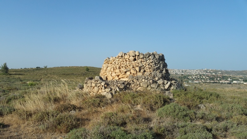 קובץ:2019.06.03-082434.600.android.jpg