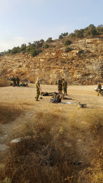 קובץ:2019.08.24-083225.325.android.jpg