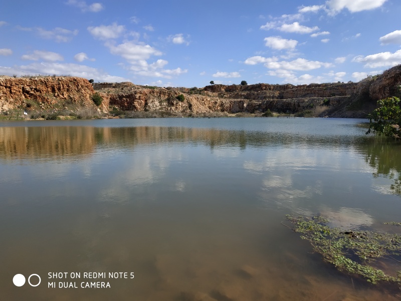 קובץ:2020-01-26T12 12 36.873161987807.jpg