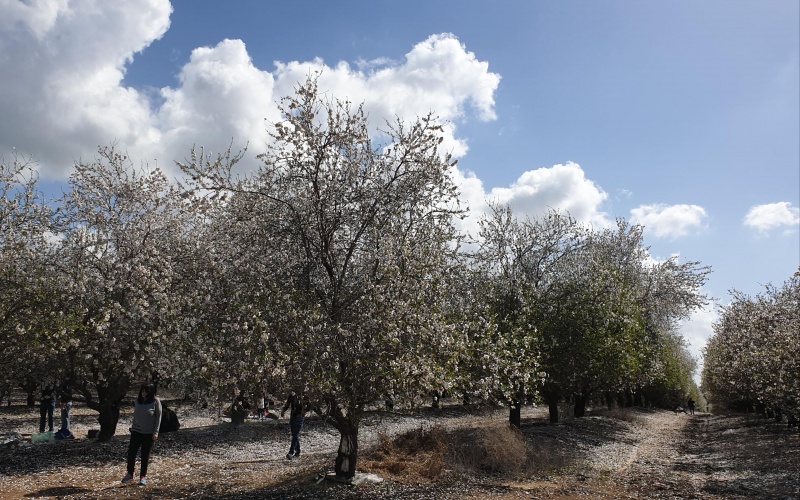 קובץ:2020-02-29T13 54 19.538218443398.jpg