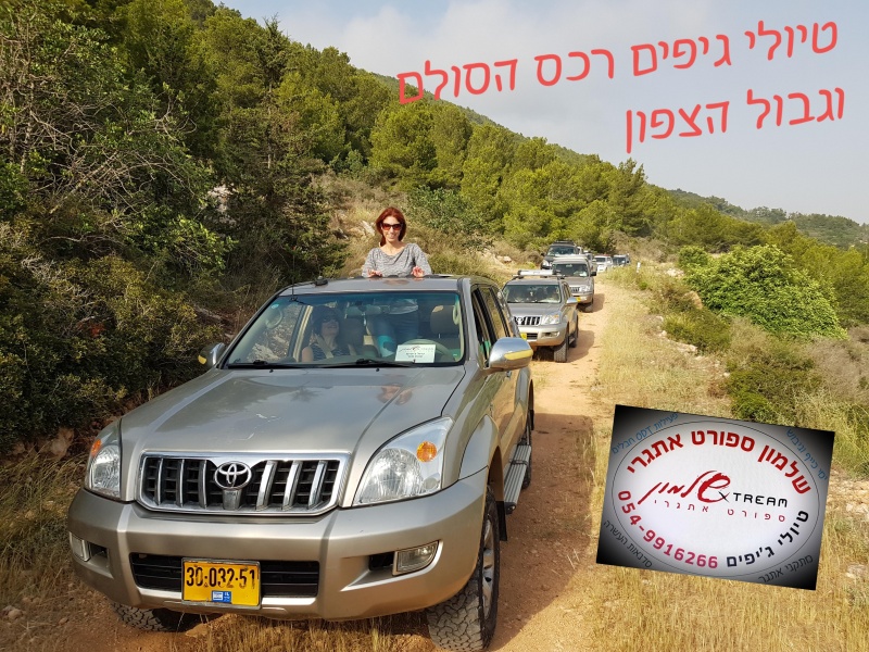 קובץ:2020-03-08T11 45 40.923125286908.jpg