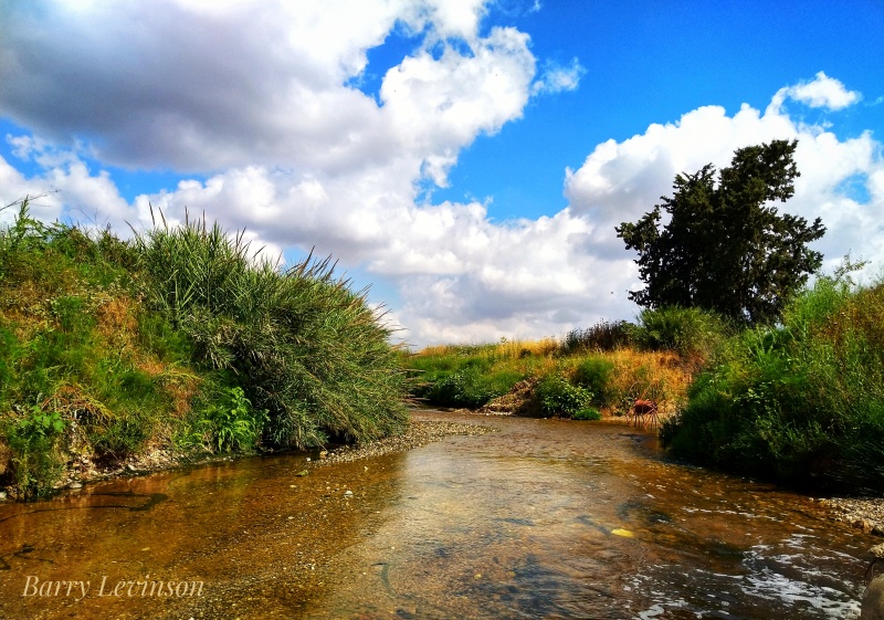 קובץ:2020-05-12T06 40 09.093820104161.jpg