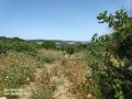 תמונה ממוזערת לגרסה מתאריך 09:07, 27 במאי 2020