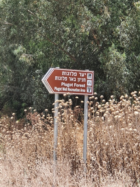 קובץ:2020-06-07T12 40 11.59327566891.jpg