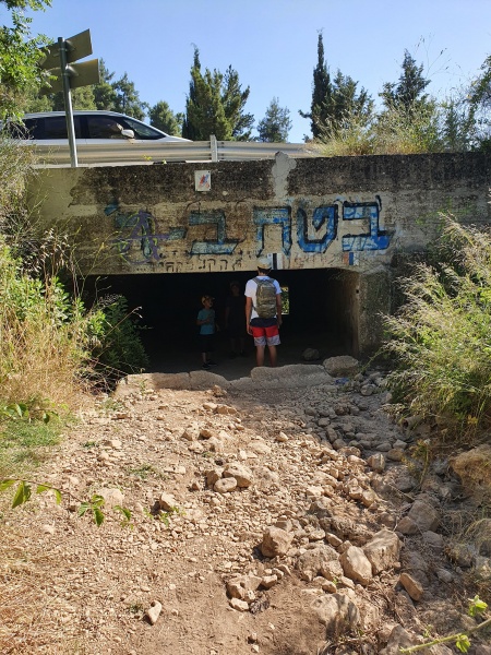 קובץ:2020-06-09T08 53 03.638174165017.jpg