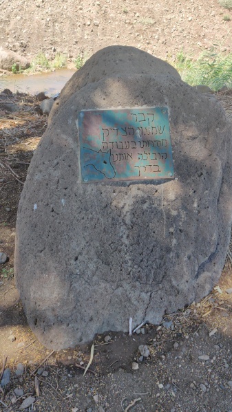 קובץ:2020-06-25T15 14 37.161308512363.jpg