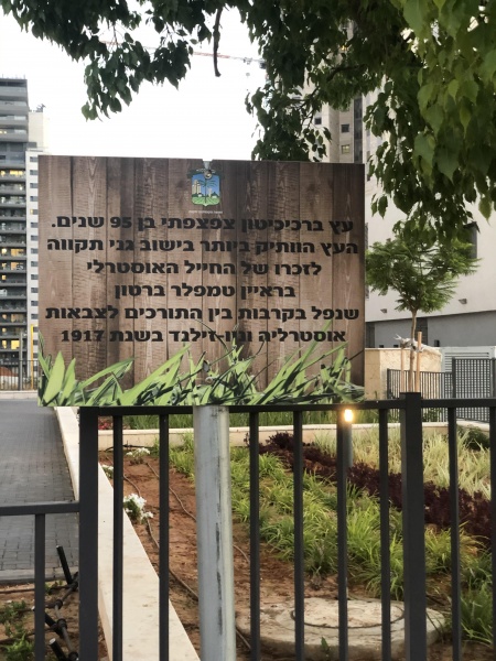 קובץ:2020-06-25T21 41 20.836073181676.jpg