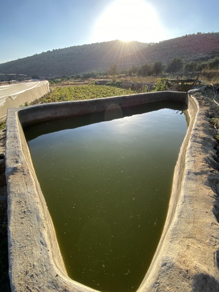 קובץ:2020-07-23T18 34 51.132618535848.jpg