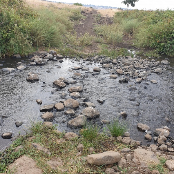 קובץ:2020-08-04T09 30 22.40472374944.jpg