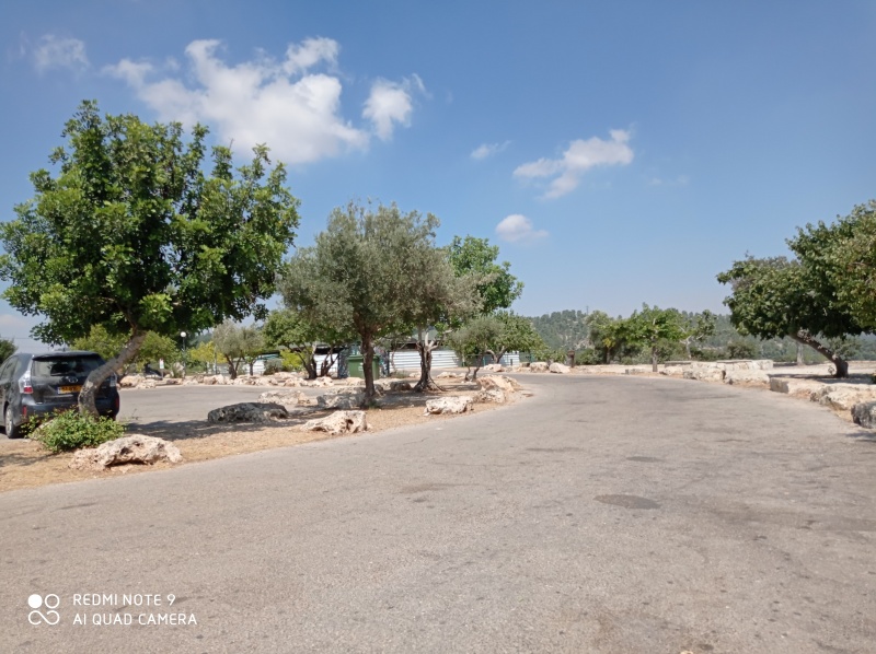 קובץ:2020-08-05T14 41 00.356821945179.jpg