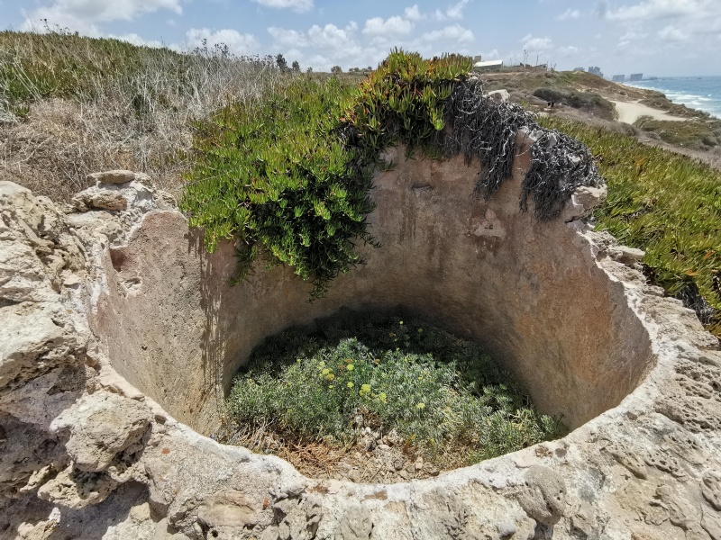 קובץ:2020-08-08T13 25 34.045716755170.jpg