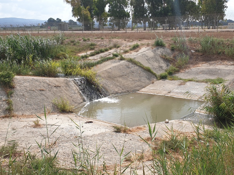 קובץ:2020-08-10T09 19 58.939664430368.jpg