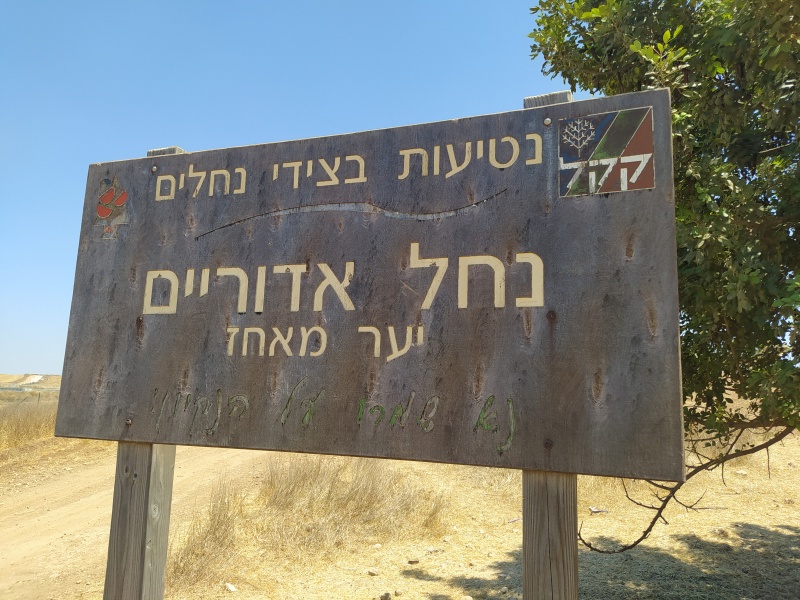 קובץ:2020-08-16T12 03 09.141266281381.jpg