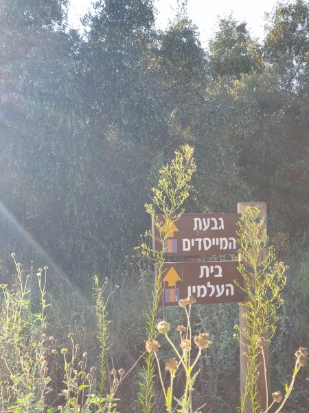 קובץ:2020-08-23T17 46 05.153671351166.jpg