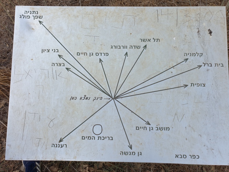 קובץ:2020-08-23T18 00 22.801890443741.jpg