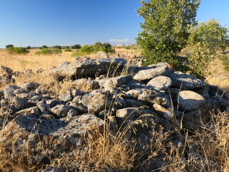 קובץ:2020-08-26T19 30 35.132880599817.jpg