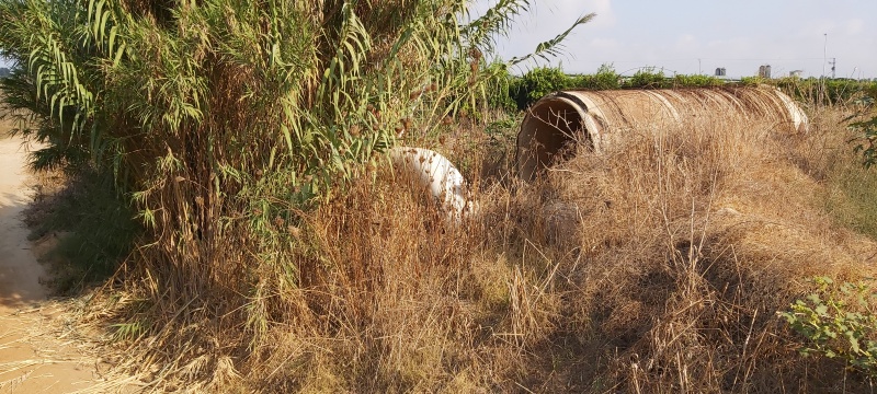 קובץ:2020-09-09T08 34 42.408770644227.jpg