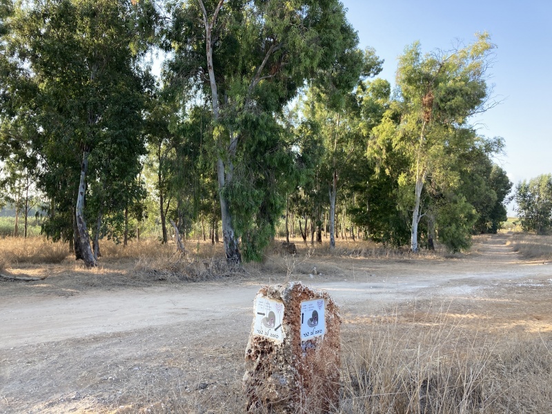 קובץ:2020-09-25T08 04 48.456686229669.jpg