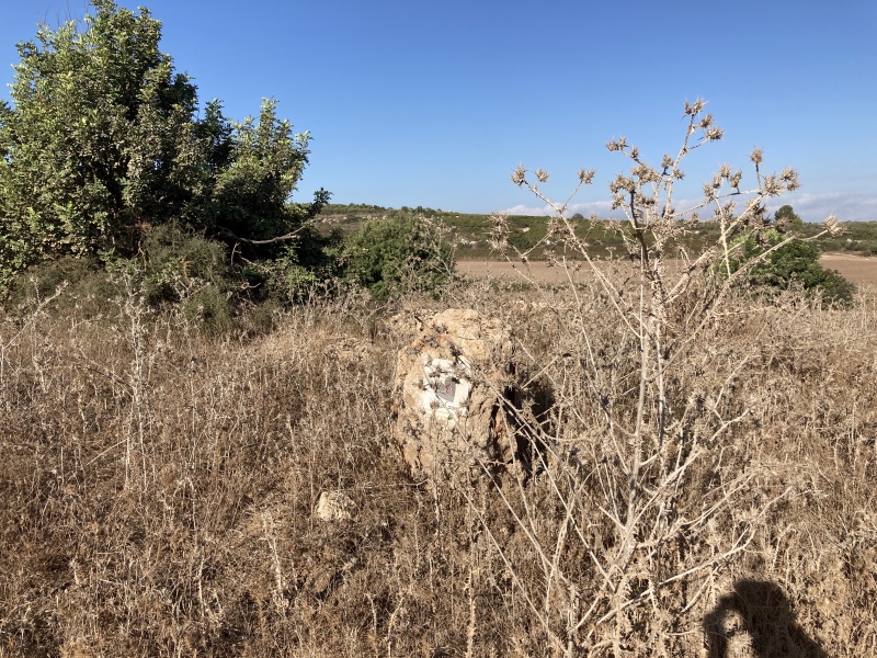 קובץ:2020-10-02T08 41 30.365077203889.jpg