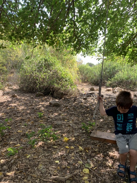 קובץ:2020-10-03T09 47 52.907840205773.jpg