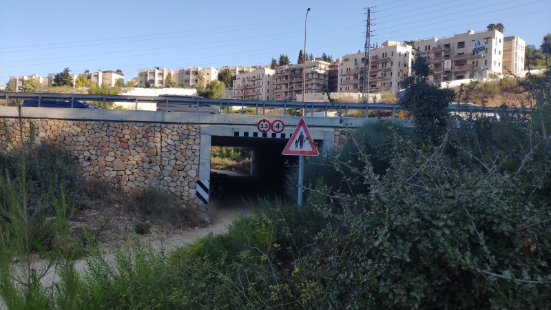 קובץ:2020-10-14T08 15 04.027730314989.jpg