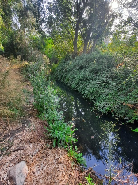 קובץ:2020-10-21T09 16 45.258895914326.jpg