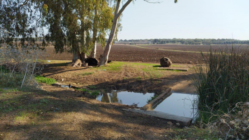 קובץ:2020-11-14T09 56 27.673572972145.jpg