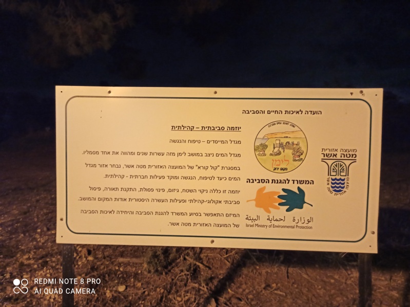 קובץ:2020-11-15T18 31 59.93053246127.jpg