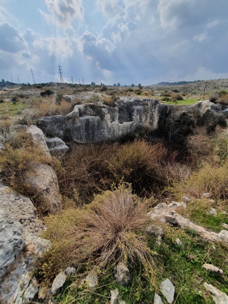 קובץ:2020-11-20T13 01 12.206121292198.jpg