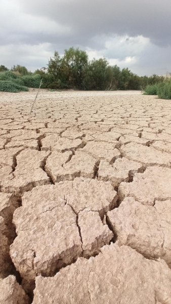 קובץ:2020-11-20T13 27 27.059629308890.jpg